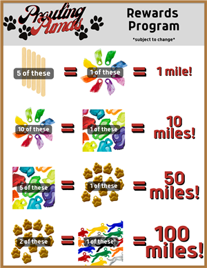 REWARDS PROGRAM